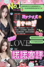 南投定點茶-諾諾